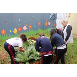 Raízes do Saber: projeto de hortas e pomares pedagógicos nas escolas